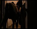 PDVD_397