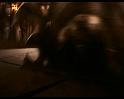 PDVD_445