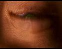 PDVD_462