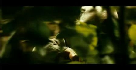PDVD_1000.jpg