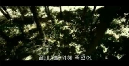PDVD_1043.jpg