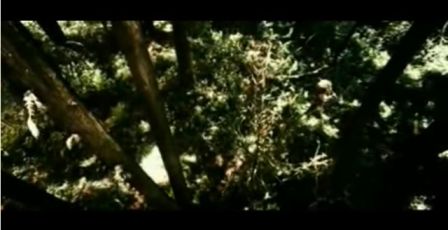 PDVD_1044.jpg