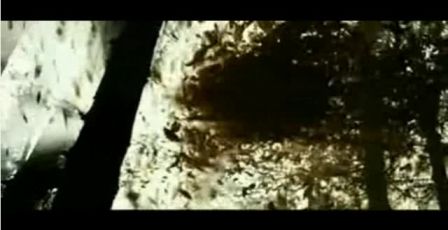 PDVD_1046.jpg