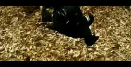 PDVD_1050.jpg
