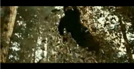 PDVD_1051.jpg