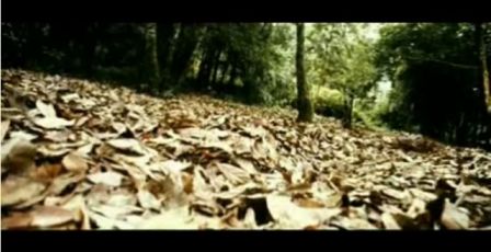 PDVD_1059.jpg