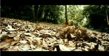 PDVD_1060.jpg