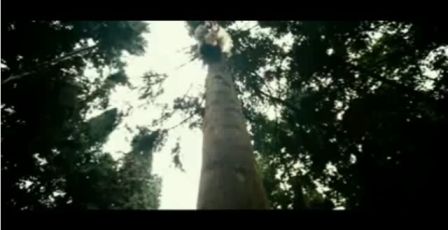 PDVD_1184.jpg