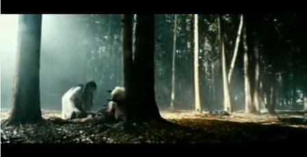 PDVD_1195.jpg