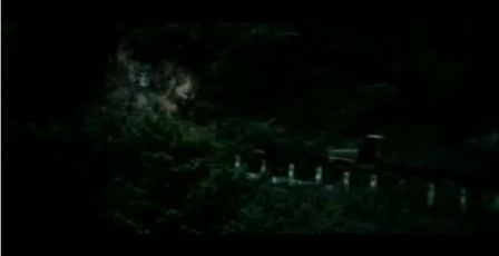 PDVD_1264.jpg