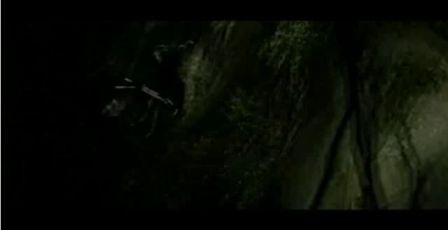 PDVD_1279.jpg