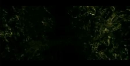 PDVD_1316.jpg