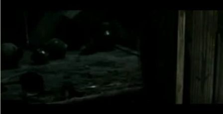 PDVD_1358.jpg
