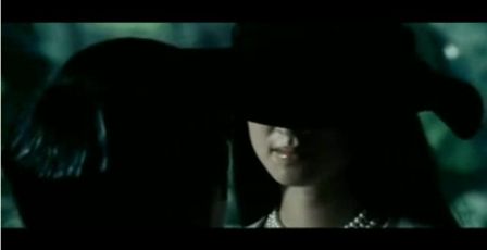PDVD_350.jpg