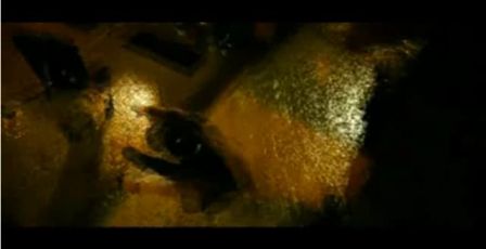 PDVD_416.jpg