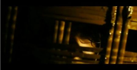 PDVD_458.jpg