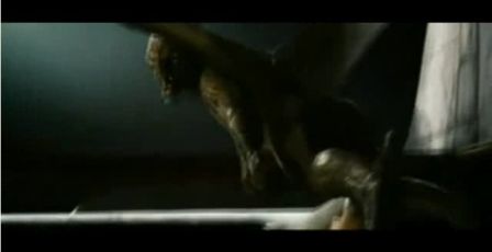 PDVD_587.jpg