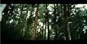 PDVD_1102