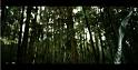PDVD_1106