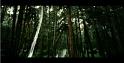 PDVD_1108