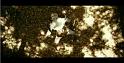 PDVD_1119
