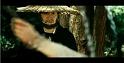 PDVD_1126