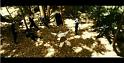 PDVD_1128