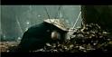 PDVD_1160