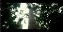 PDVD_1184