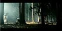 PDVD_1193