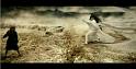 PDVD_1424