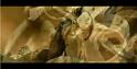 PDVD_1475