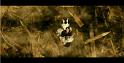 PDVD_1495