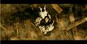PDVD_1496