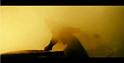 PDVD_455