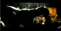 PDVD_532