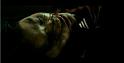 PDVD_939