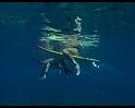 PDVD_122