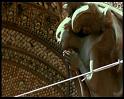 PDVD_1291