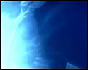 PDVD_427