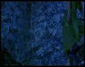 PDVD_458