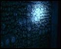 PDVD_463