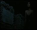 PDVD_481