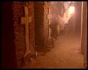 PDVD_529