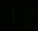 PDVD_751