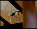 PDVD_777