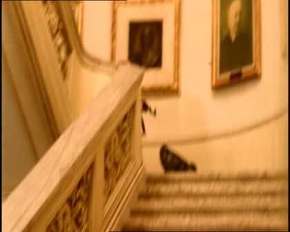 PDVD_056.jpg
