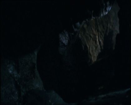 PDVD_1372.jpg