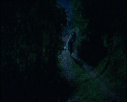 PDVD_1544.jpg