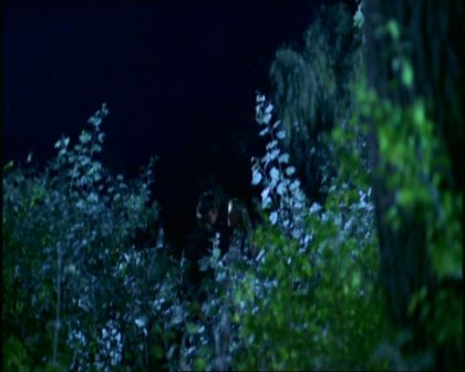 PDVD_1570.jpg
